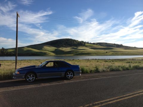 1990 Ford Mustang “Blue Stang”