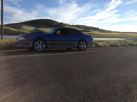 1990 Ford Mustang “Blue Stang”