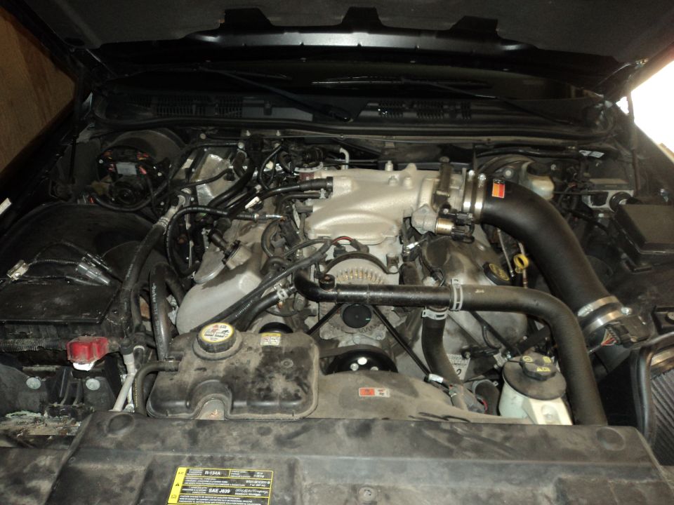 Ford Crown Victoria engine bay with V8 engine, intake, and coolant reservoir visible. Some text on a sticker is readable