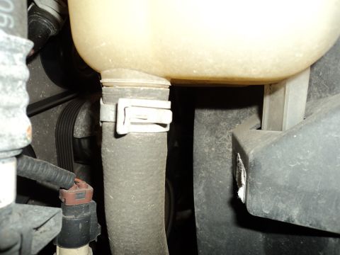 2004 Mercury Grand Marquis - Close-up view of a hose connected to the engine coolant reservoir, secured by a white clamp.