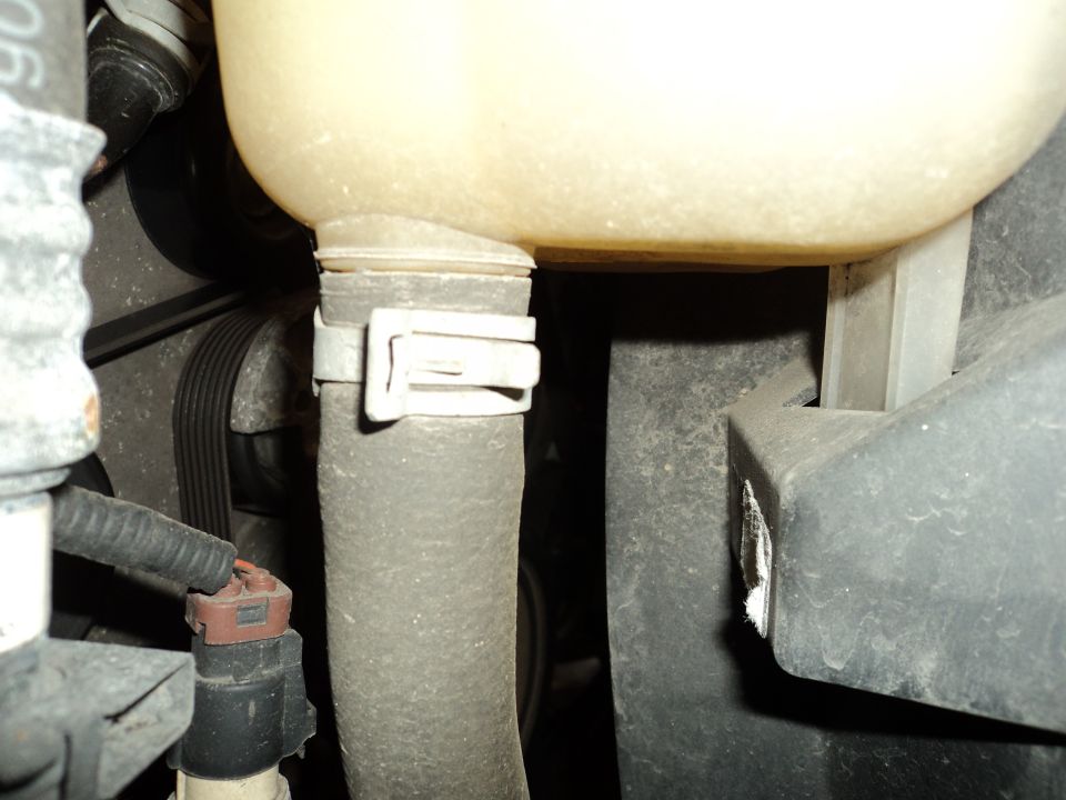Engine coolant reservoir hose with a white clamp