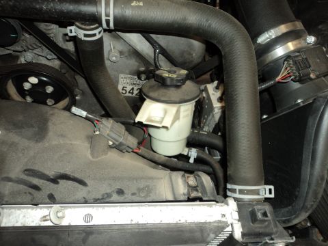 2004 Mercury Grand Marquis - Close-up of engine bay components including the power steering fluid reservoir and hoses.