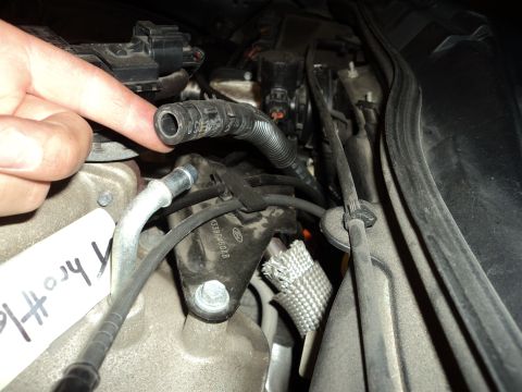 2004 Mercury Grand Marquis - Finger points to a hose in the engine bay, with a tag labeled 'Throttle' visible.