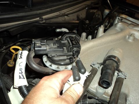 2004 Mercury Grand Marquis - Hand holds a black ignition coil-on-plug or sensor connector pulled from an aluminum engine in the engine bay.