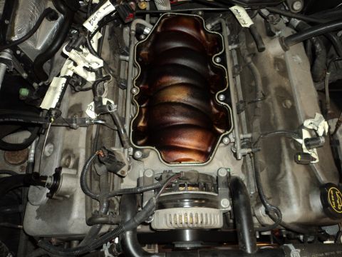 2004 Mercury Grand Marquis - Engine bay with intake manifold removed, revealing internal components and wiring.