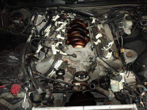 2004 Mercury Grand Marquis - Engine bay with intake manifold removed, wires taped off. Some labels visible on wiring harnesses.