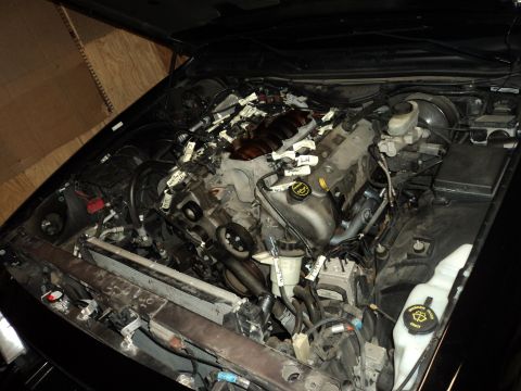 2004 Mercury Grand Marquis - Engine bay with numerous wiring harnesses and engine components, some labeled with white tags.