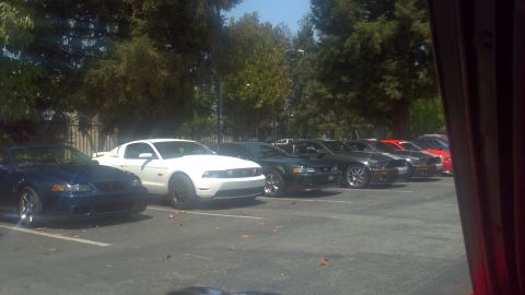 1987 Ford Bronco - Several Ford Mustangs are parked in a lot under trees, with a blue convertible and a white coupe in the foreground.