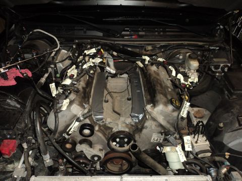 2004 Mercury Grand Marquis - Engine bay of a vehicle, showing a V8 engine with extensive wiring and labeling, a watermark at the bottom right, a watermark for Supermoto…