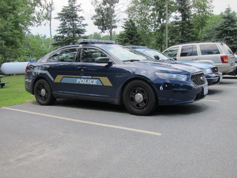 2001 Ford Crown Victoria - A dark blue police car is parked in a lot with trees and another vehicle in the background.