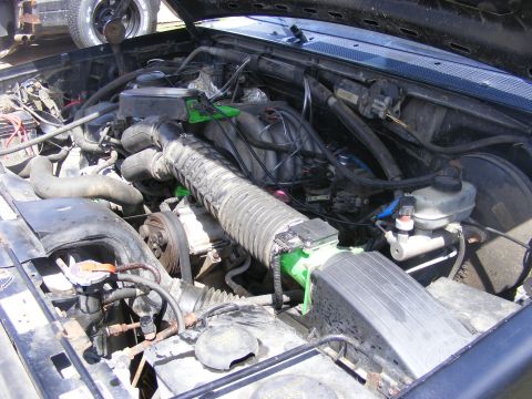 1996 Ford Bronco - The engine compartment of a vehicle, with various hoses, belts, and the air intake system clearly visible.