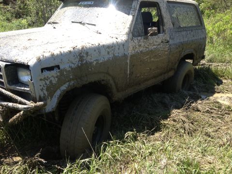 1979 Ford Bronco - Mud-covered 1978 Ford Bronco stuck in a muddy ditch.