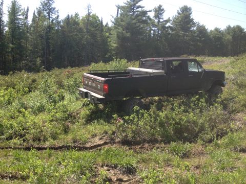 1979 Ford Bronco - A black Ford pickup truck navigates a wooded, off-road trail with dense foliage.