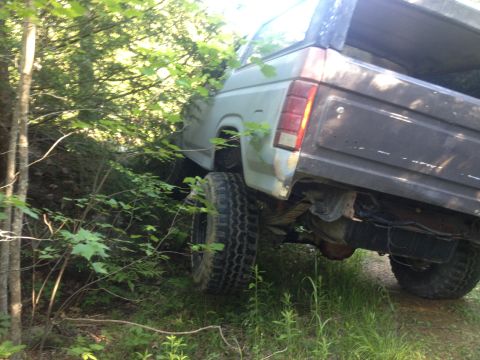 1979 Ford Bronco - This SUV is partially obscured by trees and appears to be off-road, with its rear end visible.