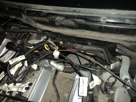 2004 Mercury Grand Marquis - Close-up view of labeled engine bay wiring, suggesting modifications or repairs.