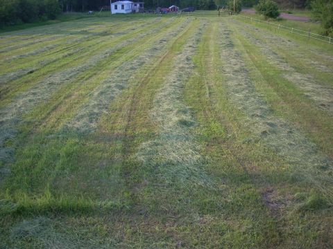 2000 Chevrolet Tahoe - A rural scene shows a field of freshly cut grass with a white building and trees in the background.