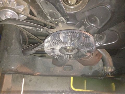 1978 Ford Bronco - Close-up view of the engine's fan clutch and belt system, showing mechanical components.