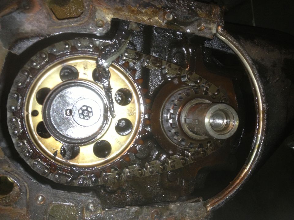 Close-up of engine timing chain and gears, showing wear and oil