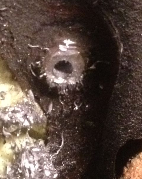 1978 Ford Bronco - A close-up view of a mechanical component, possibly from an engine, showing a circular opening.