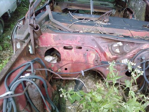 1974 Dodge Challenger - This heavily rusted engine bay is filled with debris and overgrown vegetation, indicating it has been abandoned for a long time.
