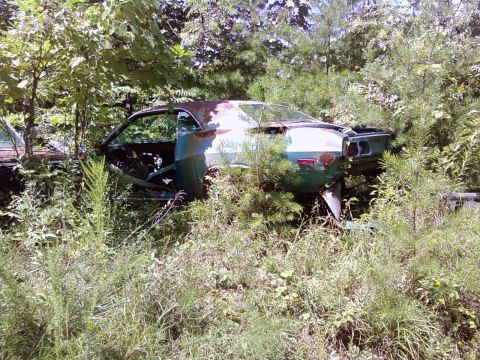 1974 Dodge Challenger - This rusty muscle car sits abandoned, slowly being reclaimed by nature in an overgrown field.