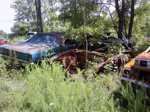 1974 Dodge Challenger - This heavily rusted muscle car sits abandoned in a field, partially consumed by vegetation.