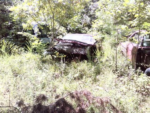 1974 Dodge Challenger - An old coupe sits in a field of weeds, its front end crushed and body showing signs of decay.