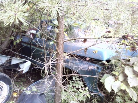 1974 Dodge Challenger - An old car is overgrown with vegetation, suggesting it has been abandoned for a long time.