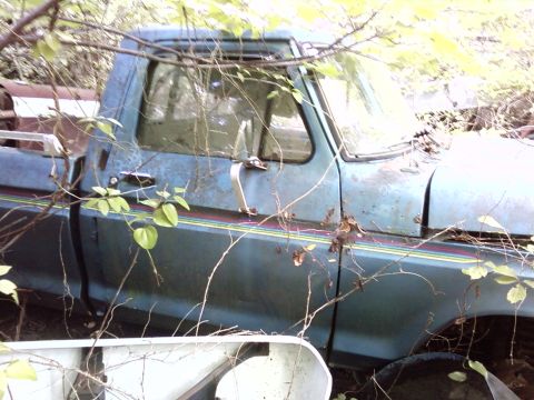 1974 Dodge Challenger - This blue pickup truck appears to be from the 1970s, overgrown with vegetation.