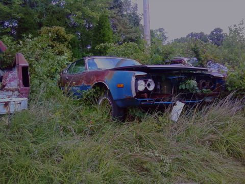 1974 Dodge Challenger - This 1974 Dodge Challenger sits abandoned and overgrown, showing its age with rust and missing parts.