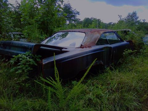 1974 Dodge Challenger - Abandoned coupe sits in a field, overtaken by vegetation. Another vehicle is partially visible behind it.