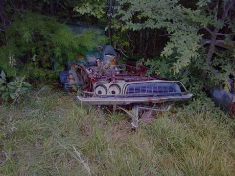 1974 Dodge Challenger - The front of a derelict vehicle, partially obscured by foliage, sits in a grassy, wooded area.