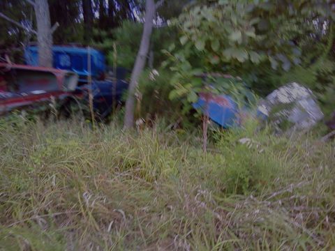 1974 Dodge Challenger - Several vehicles are overgrown with weeds and trees in a junkyard setting.