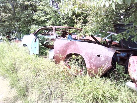 1974 Dodge Challenger - A derelict car sits abandoned in tall grass, its body showing significant rust and decay.