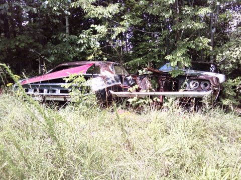 1974 Dodge Challenger - This 1974 Dodge Challenger sits abandoned in a wooded area, its front end visible through overgrown grass and foliage.