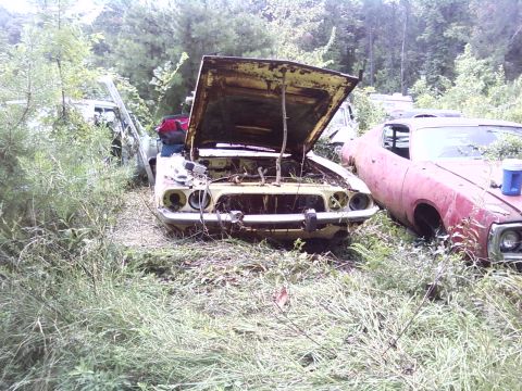 1974 Dodge Challenger - Two classic muscle cars are left to rust in a field, with the yellow car's hood open to reveal its engine bay.