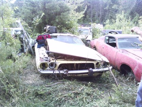 1974 Dodge Challenger - Multiple abandoned vehicles are visible in an overgrown junkyard, with a yellow car in the foreground.