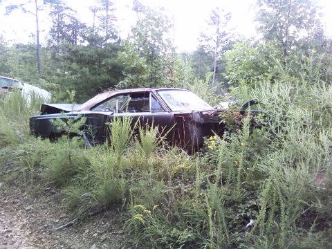1974 Dodge Challenger - This abandoned coupe, likely from 1970, sits partially hidden by overgrown vegetation in a junkyard setting.