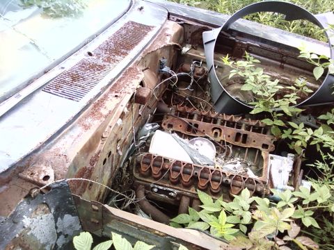 1974 Dodge Challenger - Engine bay of a 1974 Dodge Challenger shows significant rust and vegetation growth.