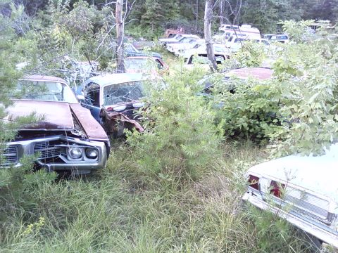 1974 Dodge Challenger - A collection of abandoned vehicles are overgrown with vegetation in a junkyard setting.