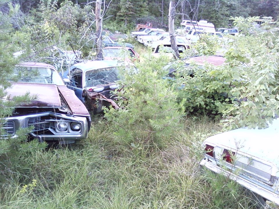 Junkyard scene with overgrown cars, including a front view of a rusty vehicle
