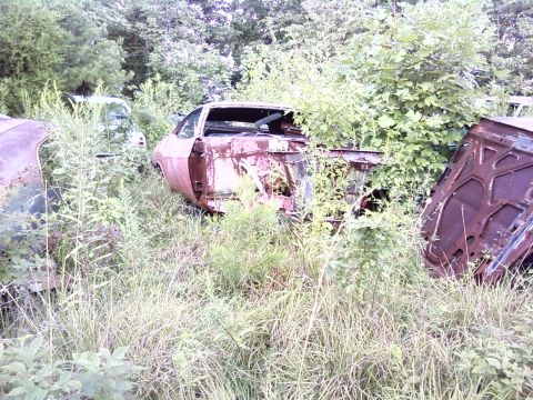 1974 Dodge Challenger - Abandoned 1974 Dodge Challenger body sits in an overgrown field, surrounded by vegetation and other vehicle parts.