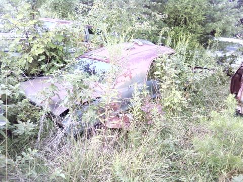 1974 Dodge Challenger - An old car sits abandoned and overgrown with vegetation in a wooded area.