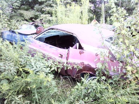 1974 Dodge Challenger - This overgrown vehicle appears to be a 1970s muscle car, possibly a Dodge Challenger, in a state of disrepair.