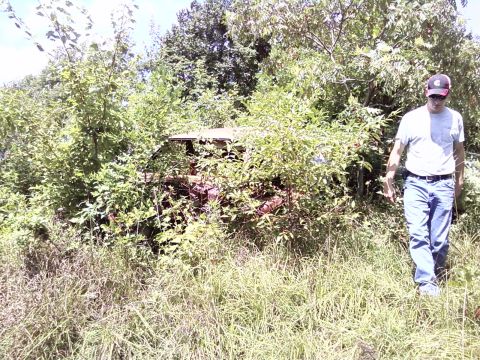 1974 Dodge Challenger - A car sits abandoned and heavily overgrown with vegetation, viewed from the side.