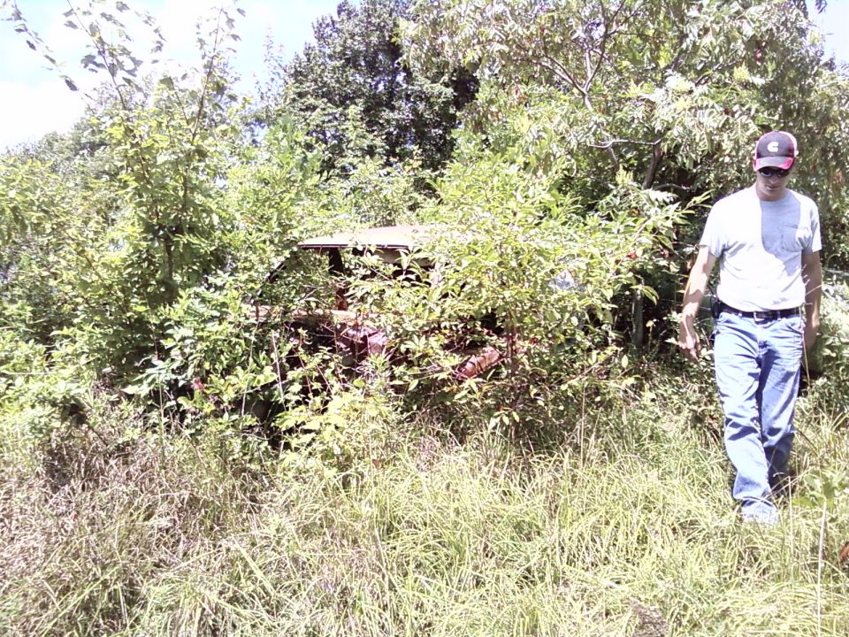 Overgrown car in brush, side view