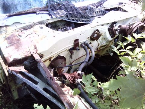 1974 Dodge Challenger - This vehicle's engine bay is heavily rusted and overgrown with vegetation, indicating it has been abandoned for a long time.