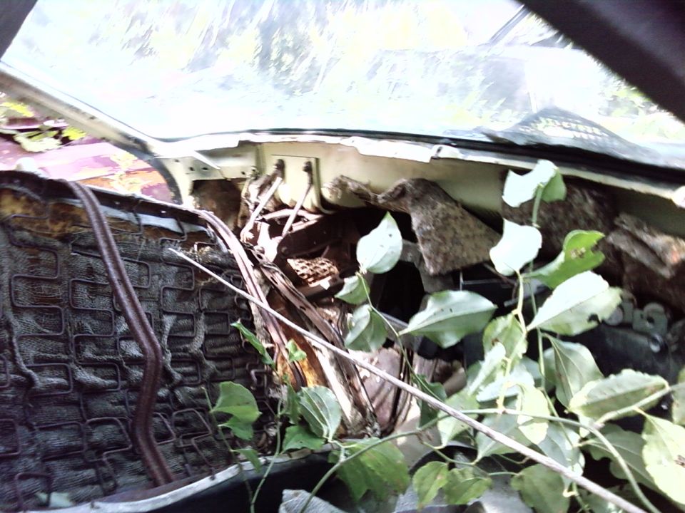 Interior of a dilapidated car with exposed springs on the driver's seat and debris on the dashboard