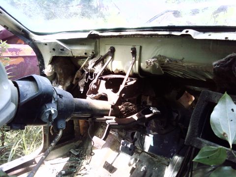 1974 Dodge Challenger - The interior of a derelict vehicle shows a damaged dashboard and steering column, with vegetation growing around it.