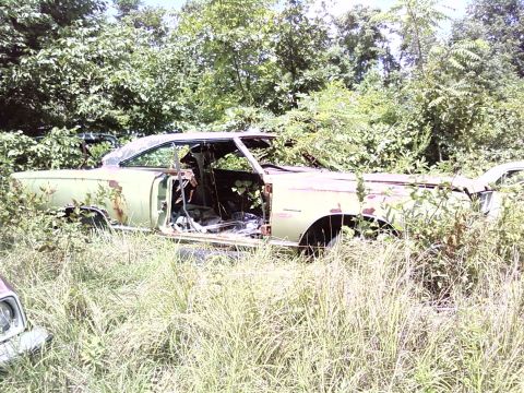 1974 Dodge Challenger - A neglected 1970s coupe, possibly a Dodge Challenger, sits abandoned and overgrown in a field.